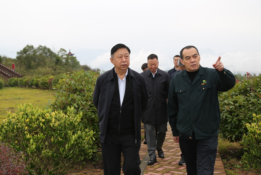 19-2021年10月，原國土資源部副部長汪民蒞臨公司調(diào)研。.jpg