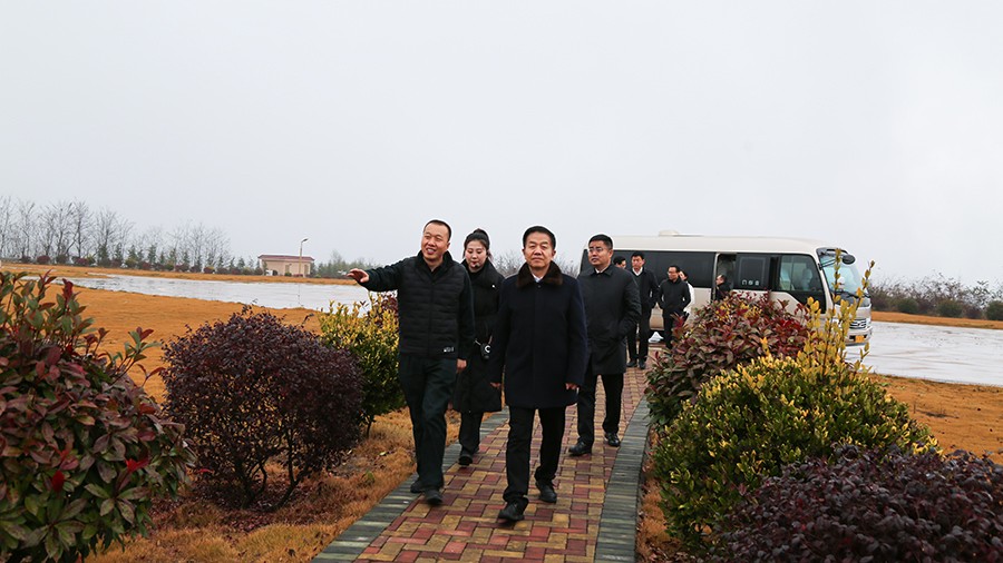 45-2020年12月，省高級(jí)人民法院黨組成員、副院長任建國蒞臨金徽股份調(diào)研知識(shí)產(chǎn)權(quán)司法保護(hù)工作。.jpg